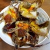 썸네일(스크롤)